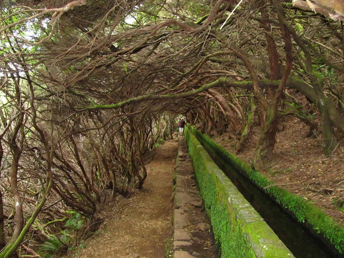 Beautiful View 1 - Arco Da Calheta - Ilha Da Madeira Apartment Exterior foto